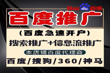 百度推广排名案例解读：旅游行业如何运用其扩大影响力